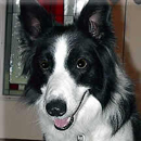 Maxine was adopted in March, 2006